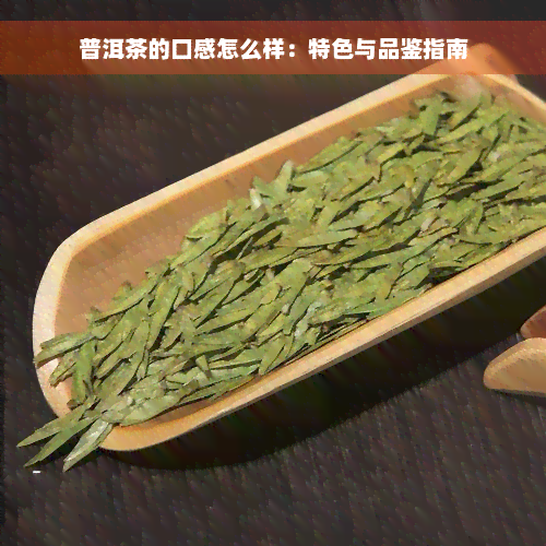 普洱茶的口感怎么样：特色与品鉴指南