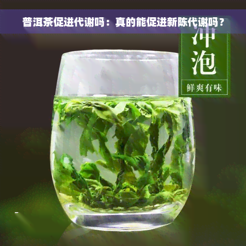 普洱茶促进代谢吗：真的能促进新陈代谢吗？