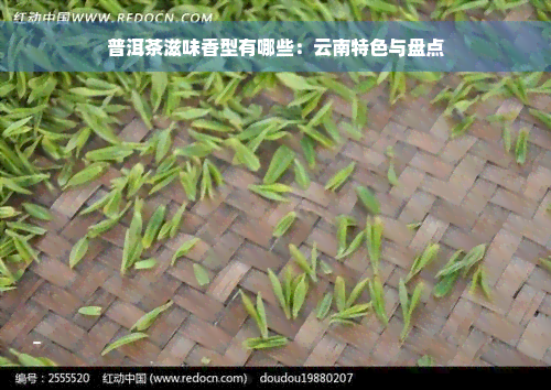 普洱茶滋味香型有哪些：云南特色与盘点