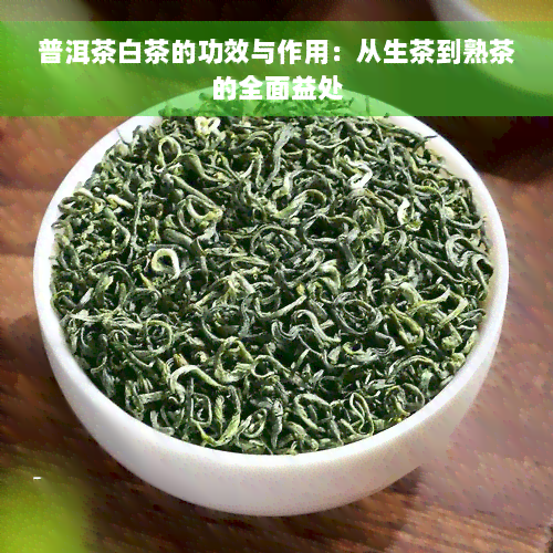 普洱茶白茶的功效与作用：从生茶到熟茶的全面益处