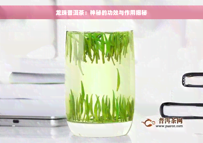 龙珠普洱茶：神秘的功效与作用揭秘