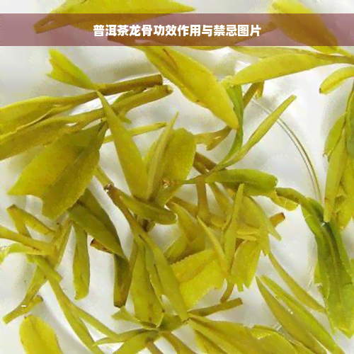 普洱茶龙骨功效作用与禁忌图片