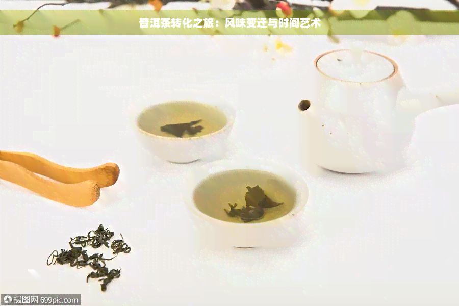 普洱茶转化之旅：风味变迁与时间艺术