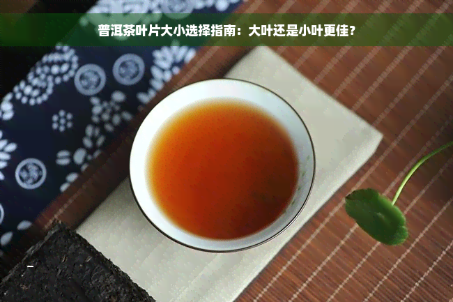 普洱茶叶片大小选择指南：大叶还是小叶更佳？