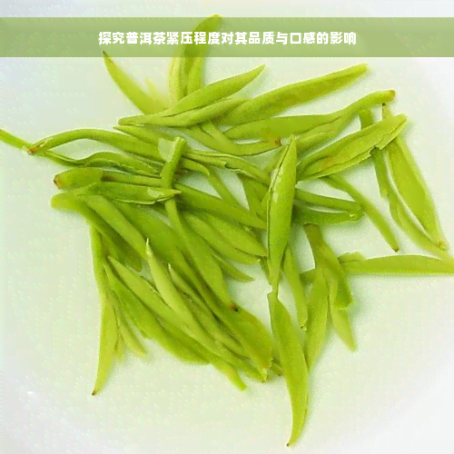 探究普洱茶紧压程度对其品质与口感的影响