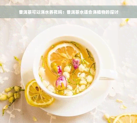 普洱茶可以浇水养花吗：普洱茶水适合浇植物的探讨