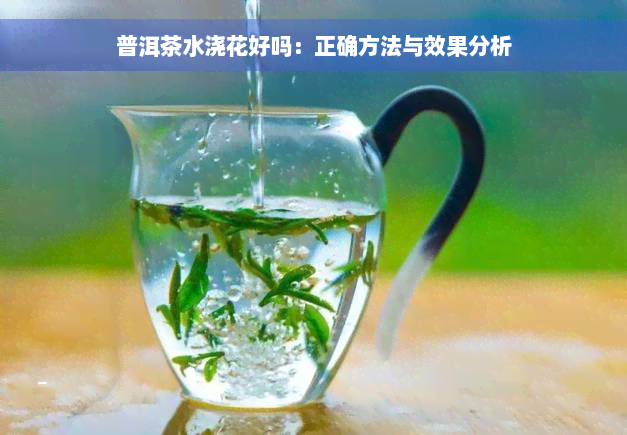 普洱茶水浇花好吗：正确方法与效果分析