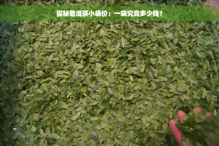 探秘普洱茶小袋价：一袋究竟多少钱？