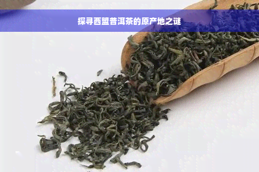 探寻西盟普洱茶的原产地之谜