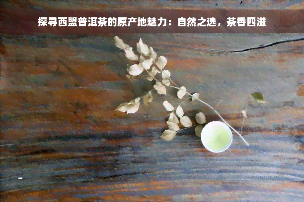 探寻西盟普洱茶的原产地魅力：自然之选，茶香四溢