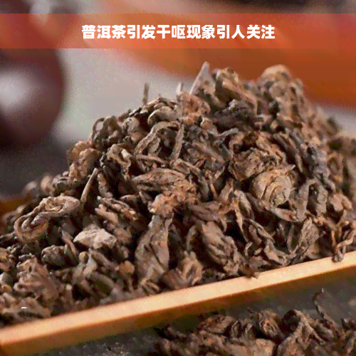 普洱茶引发干呕现象引人关注