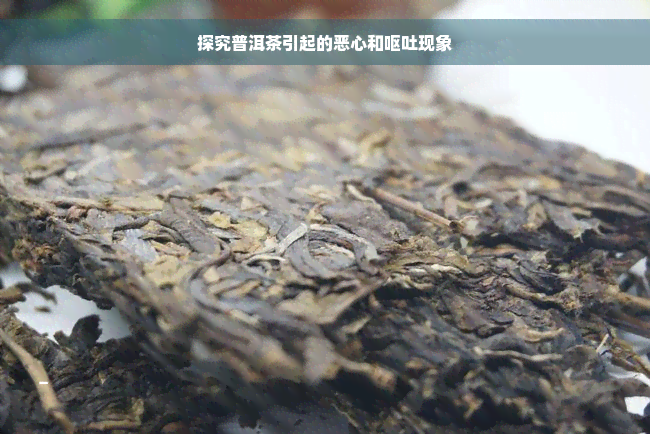 探究普洱茶引起的恶心和呕吐现象