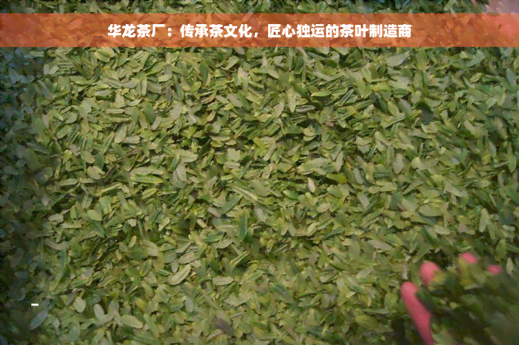 华龙茶厂：传承茶文化，匠心独运的茶叶制造商