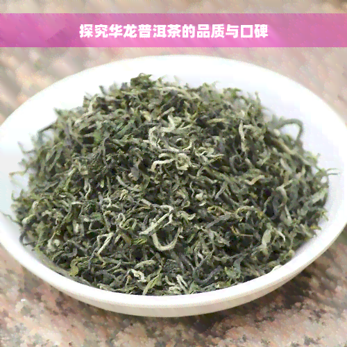 探究华龙普洱茶的品质与口碑