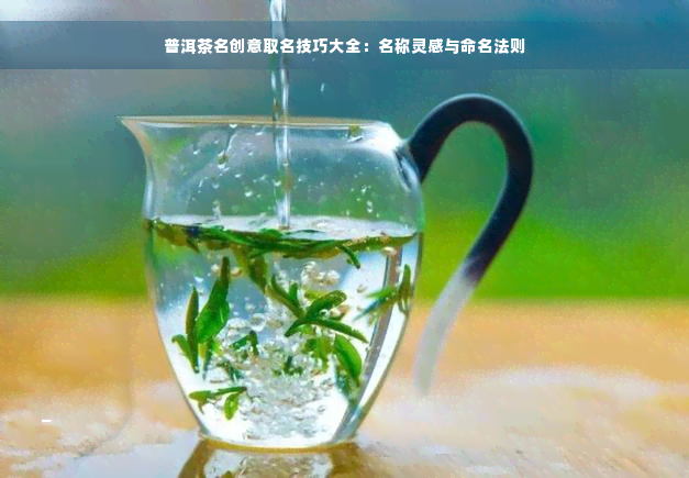 普洱茶名创意取名技巧大全：名称灵感与命名法则