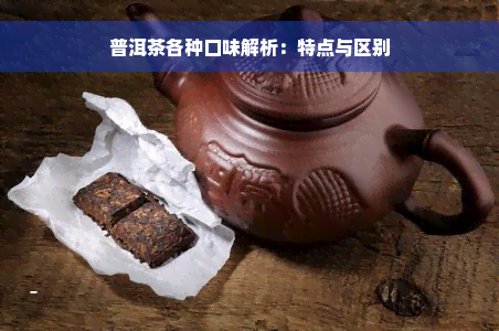 普洱茶各种口味解析：特点与区别