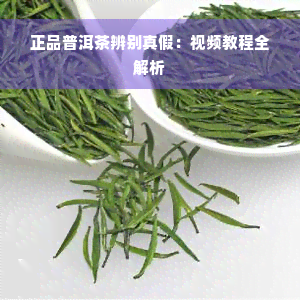 正品普洱茶辨别真假：视频教程全解析