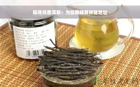 探寻鸿普洱茶：为您揭晓其神秘地址