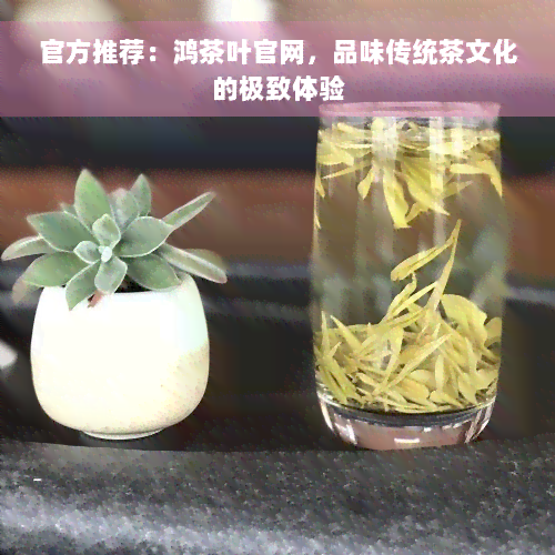 官方推荐：鸿茶叶官网，品味传统茶文化的极致体验