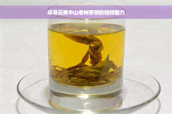 探寻云南中山老树茶饼的独特魅力