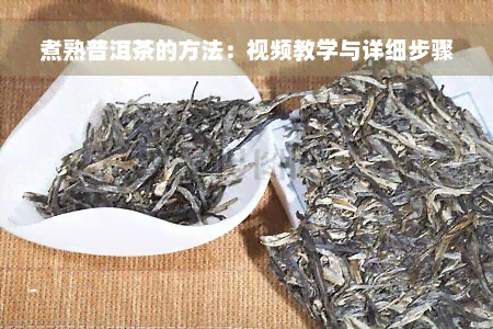 煮熟普洱茶的方法：视频教学与详细步骤