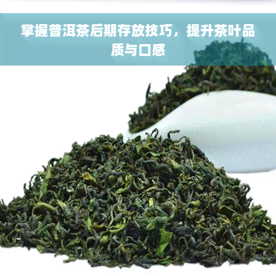 掌握普洱茶后期存放技巧，提升茶叶品质与口感