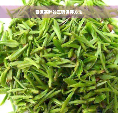 普洱茶叶的正确保存方法