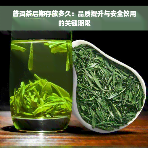 普洱茶后期存放多久：品质提升与安全饮用的关键期限