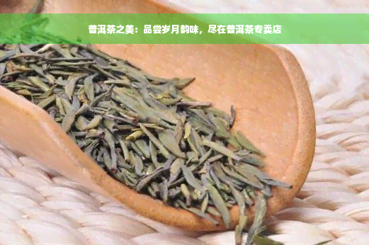 普洱茶之美：品尝岁月韵味，尽在普洱茶专卖店