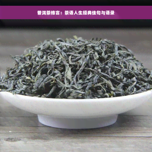 普洱茶格言：茶语人生经典佳句与语录