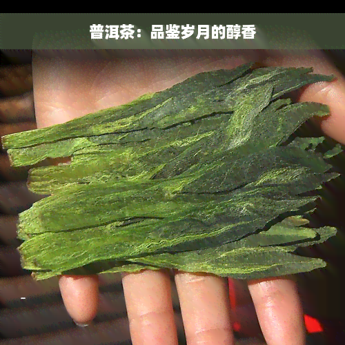 普洱茶：品鉴岁月的醇香