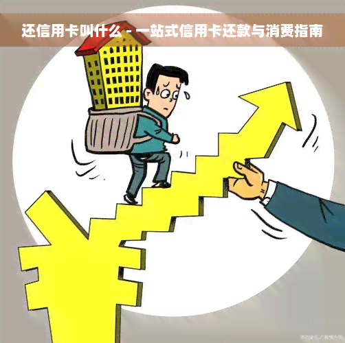 还信用卡叫什么 - 一站式信用卡还款与消费指南