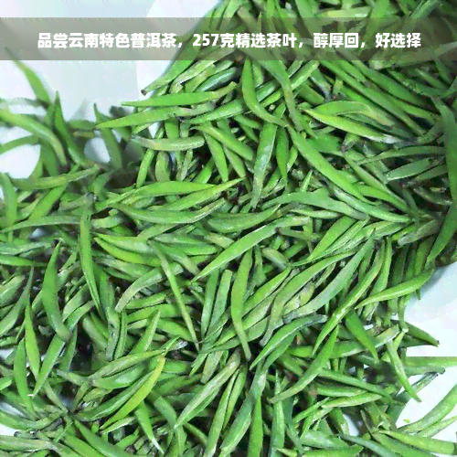 品尝云南特色普洱茶，257克精选茶叶，醇厚回，好选择