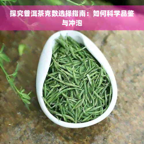 探究普洱茶克数选择指南：如何科学品鉴与冲泡