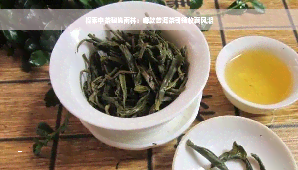 探索中茶秘境雨林：哪款普洱茶引领收藏风潮