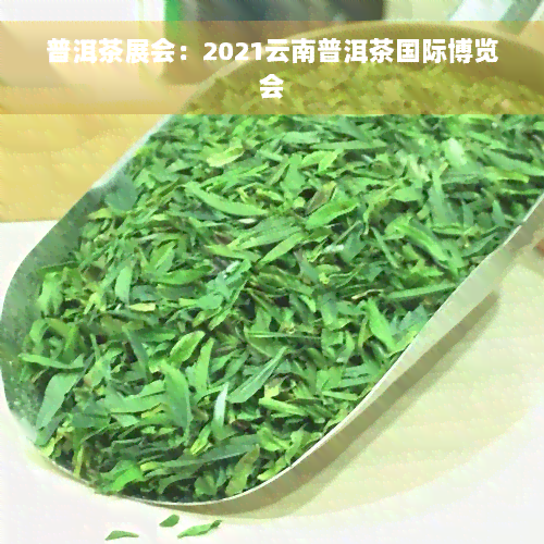 普洱茶展会：2021云南普洱茶国际博览会