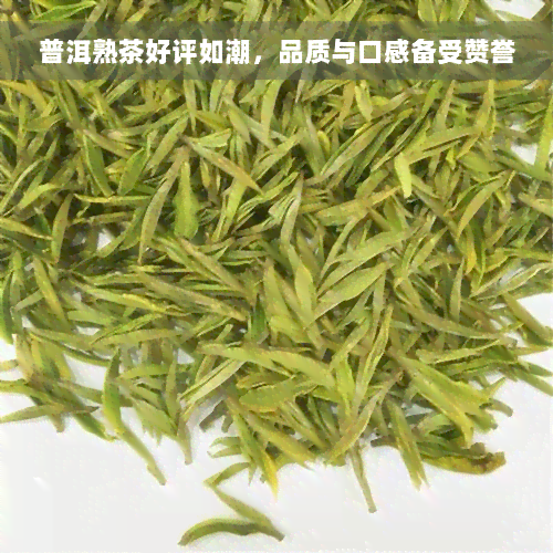 普洱熟茶好评如潮，品质与口感备受赞誉