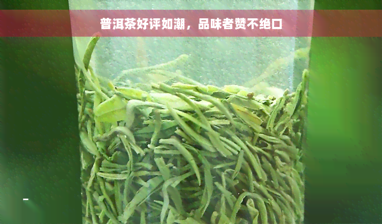 普洱茶好评如潮，品味者赞不绝口