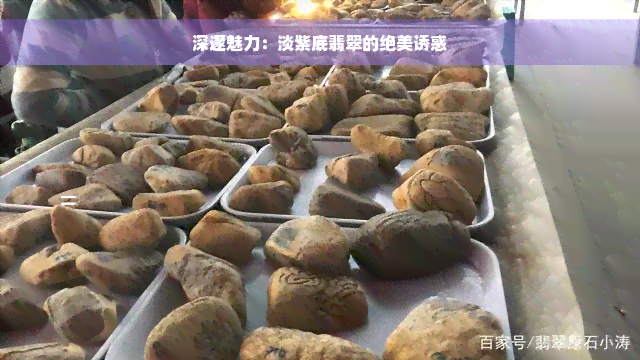 深邃魅力：淡紫底翡翠的绝美诱惑