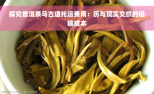 探究普洱茶马古道托运费用：历与现实交织的运输成本