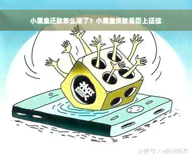 小黑鱼还款怎么没了？小黑鱼贷款是否上征信