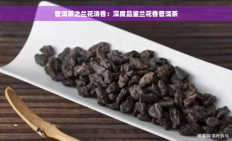 普洱茶之兰花清香：深度品鉴兰花香普洱茶