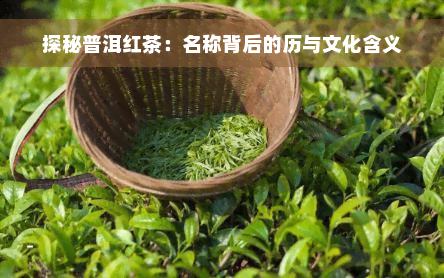 探秘普洱红茶：名称背后的历与文化含义