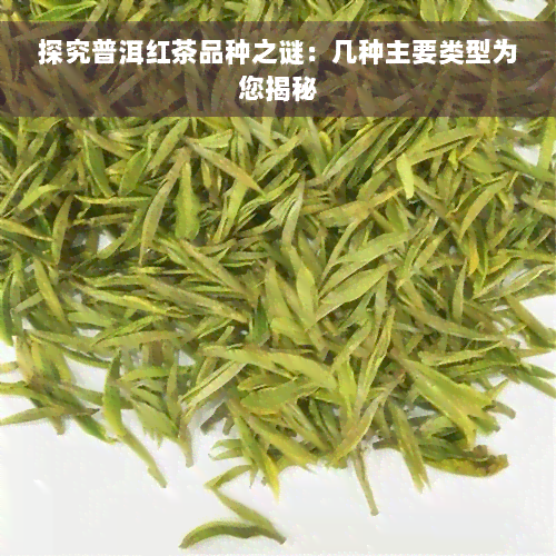 探究普洱红茶品种之谜：几种主要类型为您揭秘