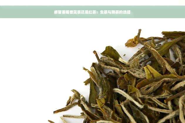 感冒要喝普洱茶还是红茶：生茶与熟茶的选择