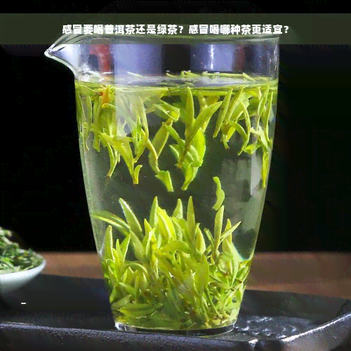 感冒要喝普洱茶还是绿茶？感冒喝哪种茶更适宜？