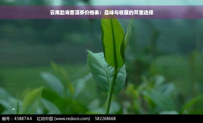 云南勐海普洱茶价格表：品味与收藏的双重选择