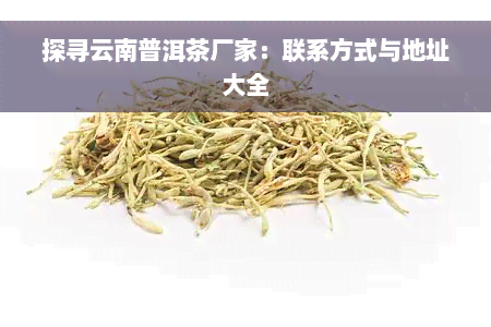 探寻云南普洱茶厂家：联系方式与地址大全