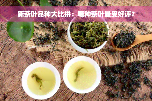 新茶叶品种大比拼：哪种茶叶最受好评？