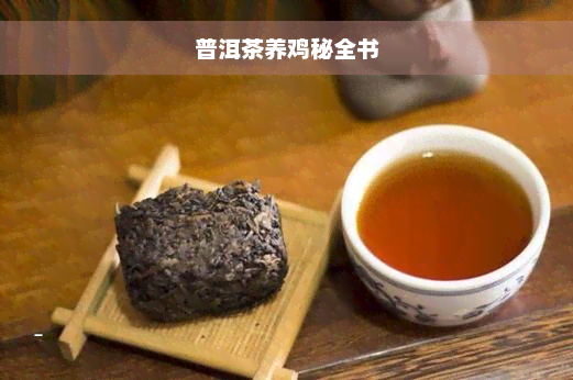 普洱茶养鸡秘全书